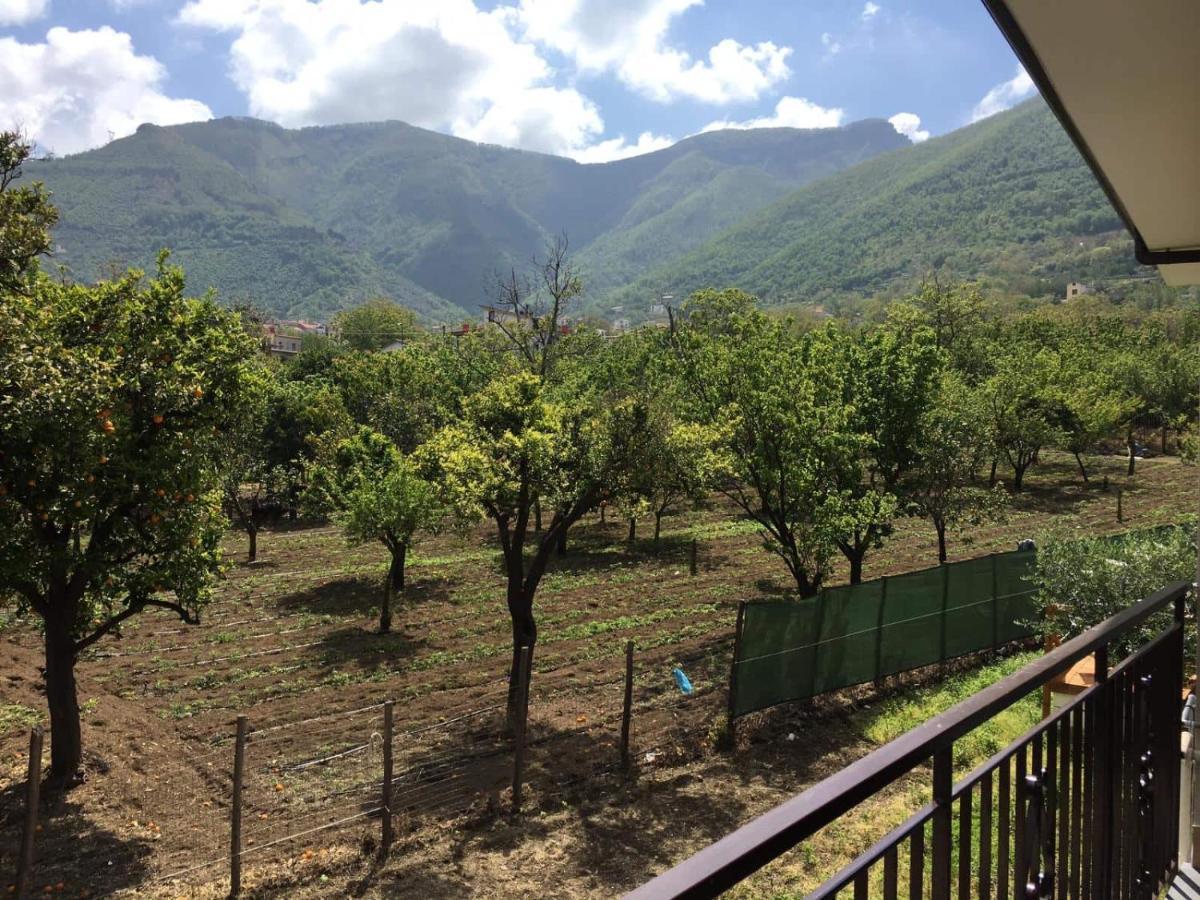 B & B Evergreen Corbara  Exterior foto